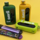 GS25 가능우미점 | GS25 일회용 전자담배 사용하다가 데이즈로 바꾼 후기