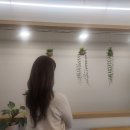 신포시장 샌드위치 아메리칸트레이 허브치킨,레인보우 샌드위치 후기