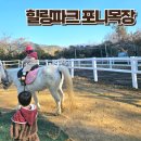 힐링파크 | 4살 아이랑 대구 가창 힐링파크 포니목장 승마패키지 이용후기