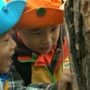 "KBS TV 유치원" 프로그램에 숲유치원교육이 도입되어 방송된답니다! 이미지
