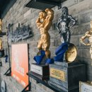 고구마 휘트니스 이미지