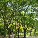 함허동천(제3야영장) | [강화도 가볼만한곳] 2025.5월의 푸른 쉼표, 함허동천 야영장 산책 후기