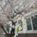 산당 | [월간 일기] 2023년 4월 신혼 일상, 데스노트 뮤지컬/창덕궁 달빛기행 문화생활 만끽하기🪻🩷