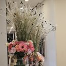 뮬피부과의원 이미지