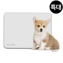 펫하우스(애견샵) 이미지