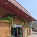 종권 | 아이랑 갈만한 곳 추천 공룡 동물먹이주기 식물원등 다양한 놀거리가 있는 덕평공룡수목원 내돈내산 후기