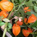 햇살마루목장 이미지