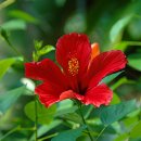 서울숲10 이미지