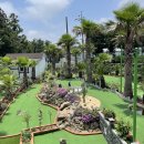 마로니에 미니골프 이미지