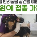 부엉이노래연습장 이미지