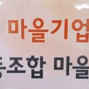 협동조합 마을산책 이미지