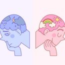 다이즐한의원 이미지