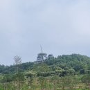 강화도 화개정원 모노레일 후기｜교동도 전망대·입장료·서울 근교 당일치기 여행