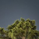 신내초등학교 이미지