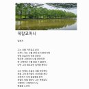 데칼코마니 Daum카페