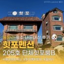 과천동(뒷골 공영주차장) | [영종도] 힛포펜션 205호 다녀온 후기 내돈내산 (애견동반 가능한 바다 앞 단체펜션)
