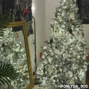 동구다기능노인종합복지관 | 광주 동명동 카페 피스풀하우스, 크리스마스 감성 카페 추천