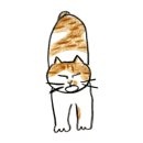 아이엠셀럽커피