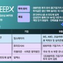 이재명 정부 초반부터 ‘대박’ 터질까…국내에서 두번째로 ‘AI 유니콘’ 노리는 딥엑스﻿ 이미지