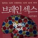 브레인웰
