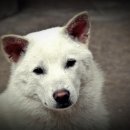 온새미로 이미지