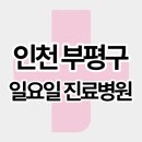 안은의료재단 부평세림병원 | 인천 부평구 주말 일요일 진료병원 리스트 (갈산동, 구산동, 부평동, 산곡동, 삼산동, 청천동)
