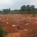 대원태양광발전소 이미지