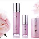 샤넬피씨 이미지