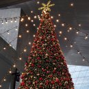 민주약국 | 연말에 잼컨 넘쳐나♡