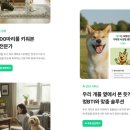 엄마 잘 다녀와 이미지