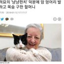 냥냥펀치 이미지