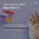 월드동물병원 이미지