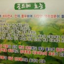 세실맛집 곤드레밥 이미지