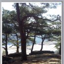 광대곡 민박 이미지