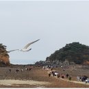바다바라길 이미지