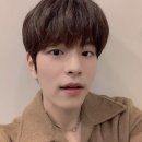 스테이형
