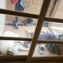 성정동물약국 이미지