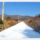 용인 백암 토지 매매 가좌리 전원주택 부지 220평 1.2억 이미지