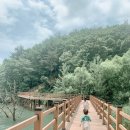 곤충나라 사과테마파크 오토캠핑장 이미지