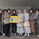 청룡사 이미지