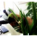 노원-상계-2733 | 낚시터>비오는 주말 가족과 연인,친구와 함께 하기 좋은 도심의 레져공간 가자실내낚시터 노원점이랍니다~