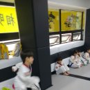 대교 태권도장 이미지