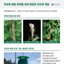 지평개발 이미지
