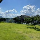 네모강아지 이미지