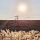 우화한식당 대동점 | 김해 우화한식당 대동점 / 가을이 끝나기 전에 코스모스 보러 다녀오세요 김해 대동생태체육공원 근처 맛집