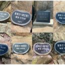 임학공원 출렁다리 이미지