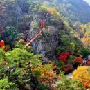 (주)아름관광 이미지