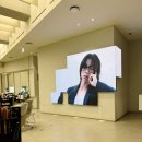 하츠헤어 | 청담동 하츠도산 시세이도 클리닉 솔직후기 청담동미용실 헤어케어 추천