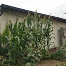 신동목욕탕 이미지