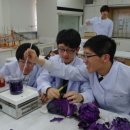 일산동고등학교 이미지